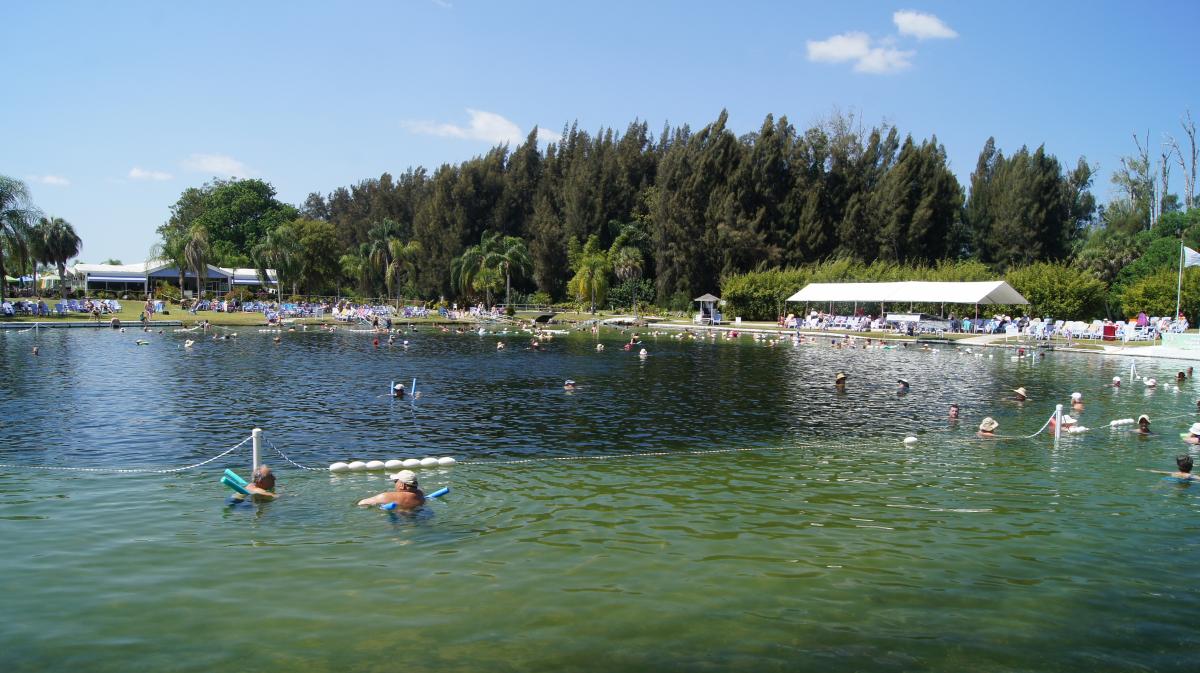 Warm Mineral Springs [Photo: Robin Draper]