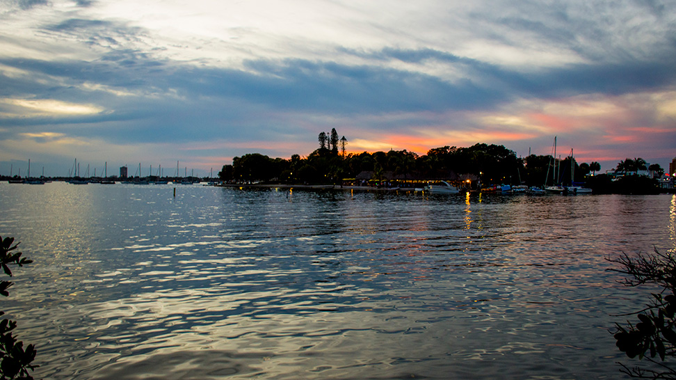 
A night-view of Bayfront Park in Sarasota
