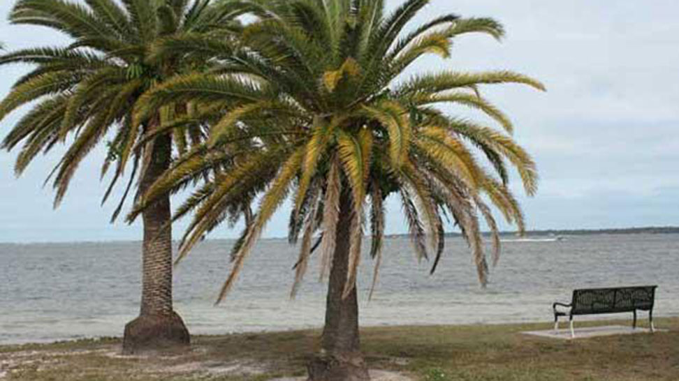 Bird Key Park