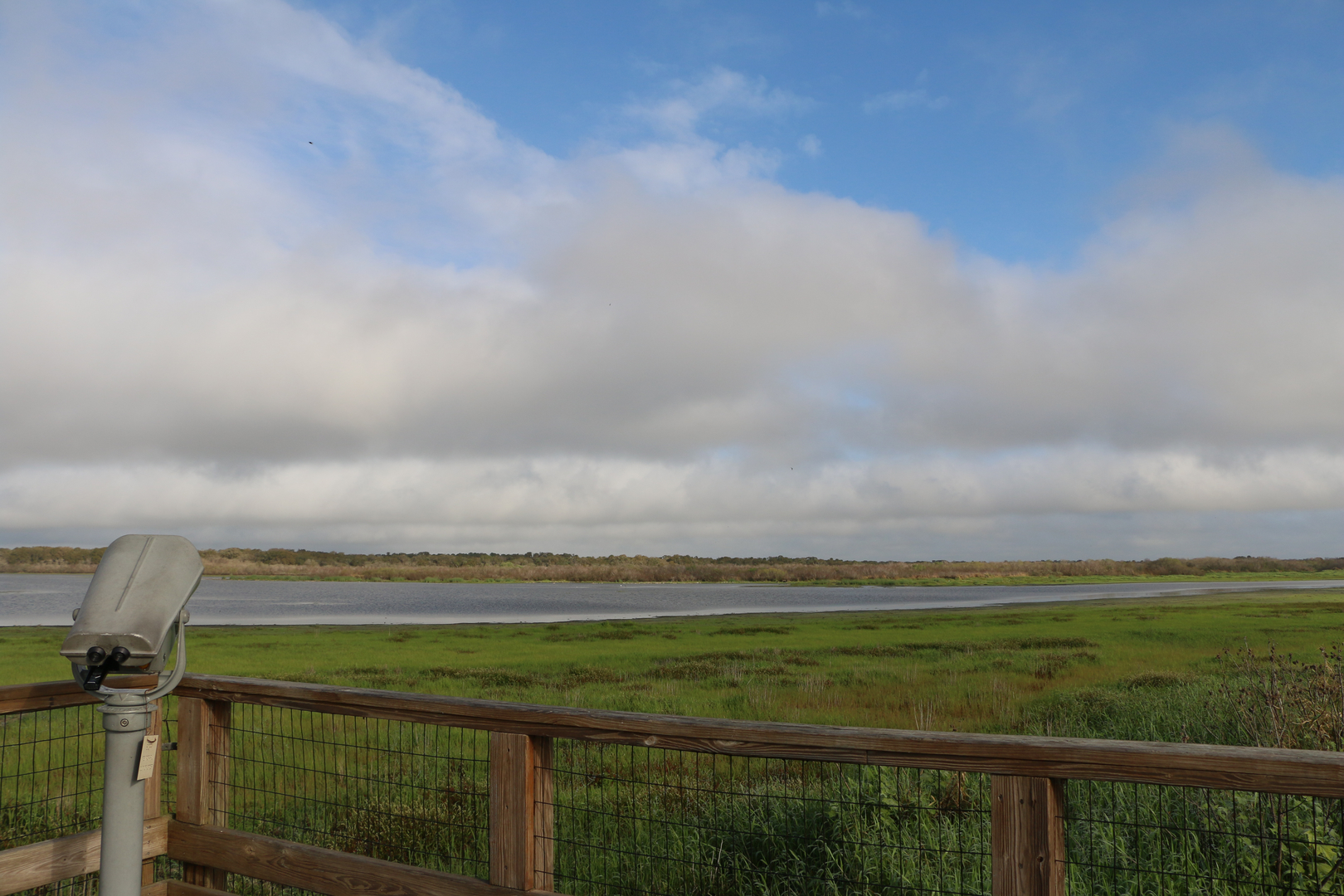 Myakka Lookout