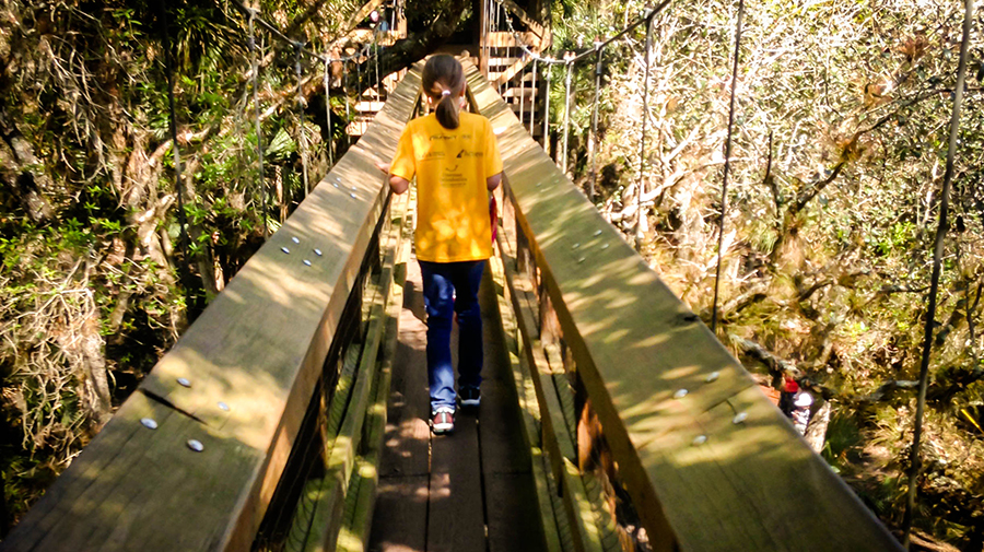 Canopy Walkway. Photo credit: Katherine Ferrara.