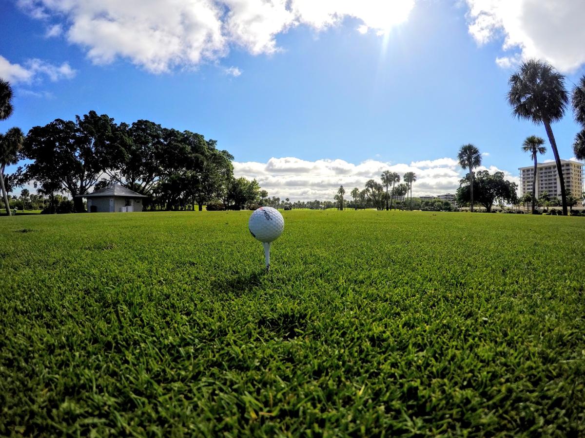 
Teeing off on the Venice greens
