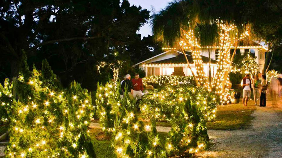 Holly Days Mangrove Lights at Historic Spanish Point