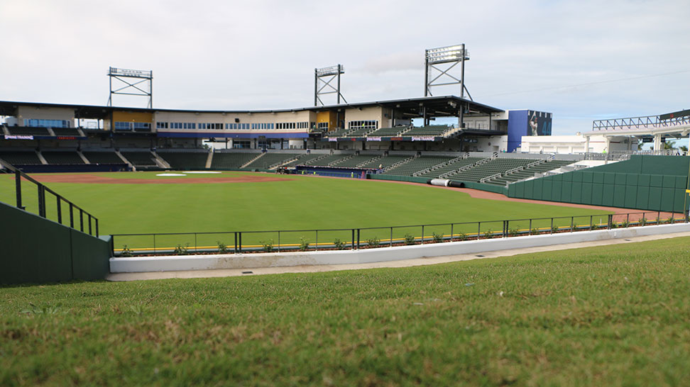 
No chair? No problem in the grassy berm along the left field wall [Photo: Visit Sarasota County]
