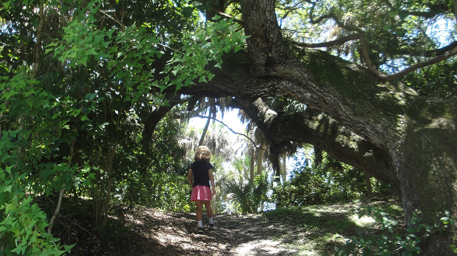 
Indian Mound Park
