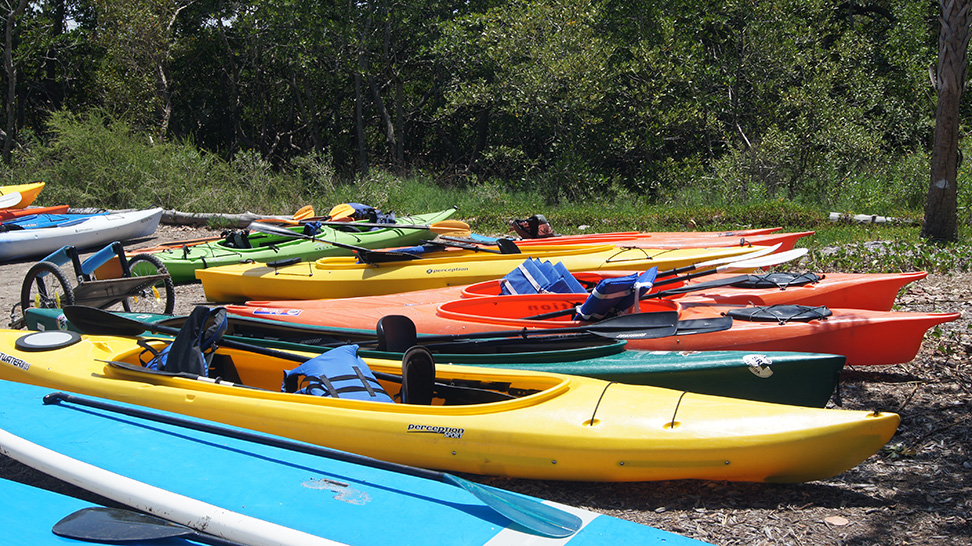 There are a wide selection of launch areas for Kayaking in Sarasota County