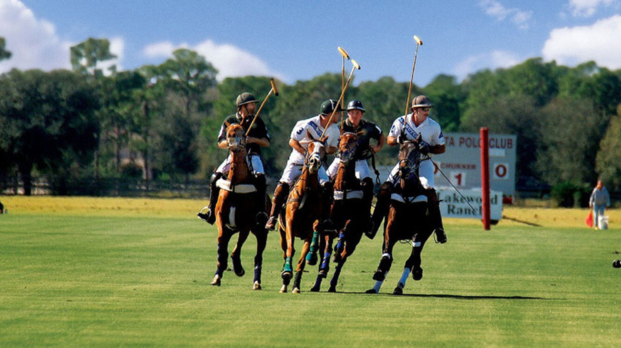 Sarasota Polo Club