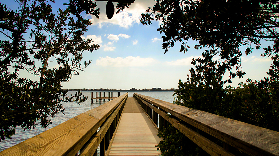 
Lemon Bay Park
