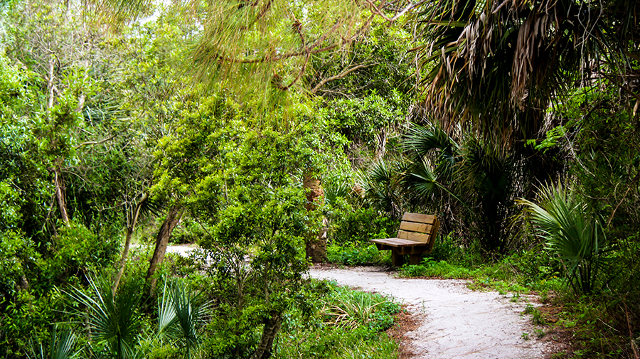 
Lemon Bay Park
