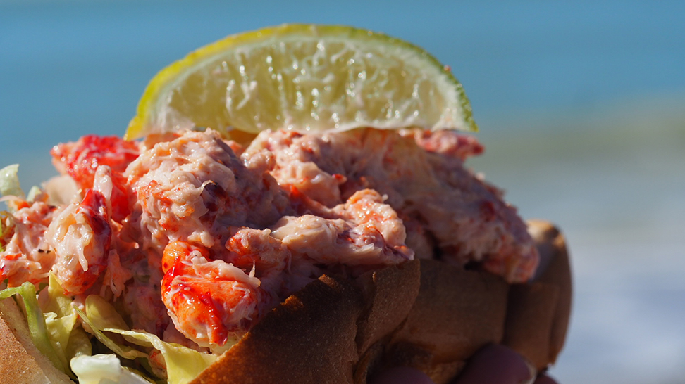 Lido Beach Restaurant Lobster Roll [Photo: Lauren Jackson]
