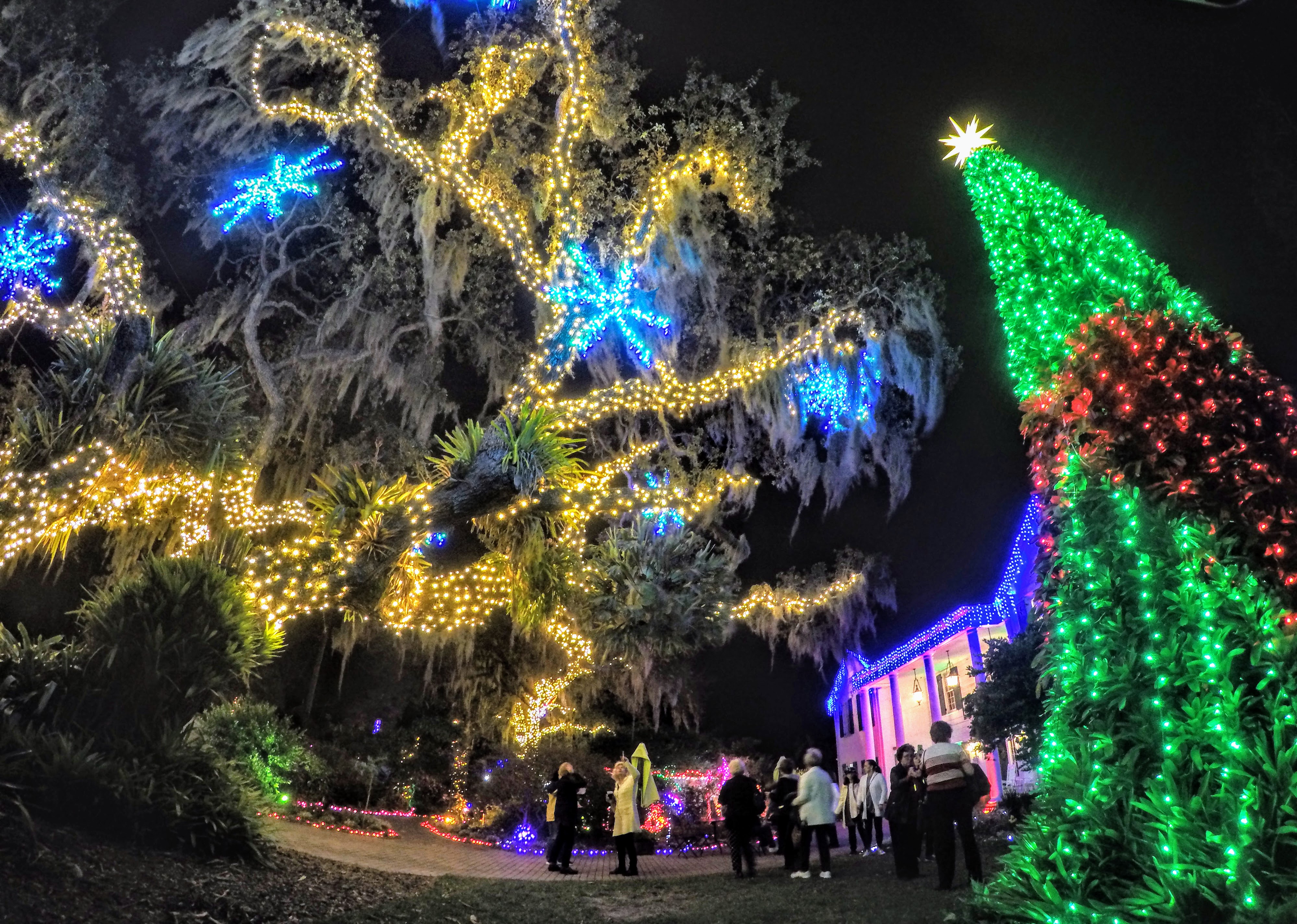 Lights in Bloom at Selby Botanical Gardens