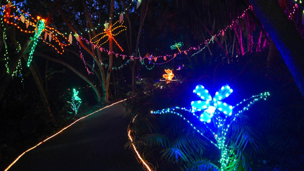 
Lights in Bloom at Marie Selby Botanical Gardens
