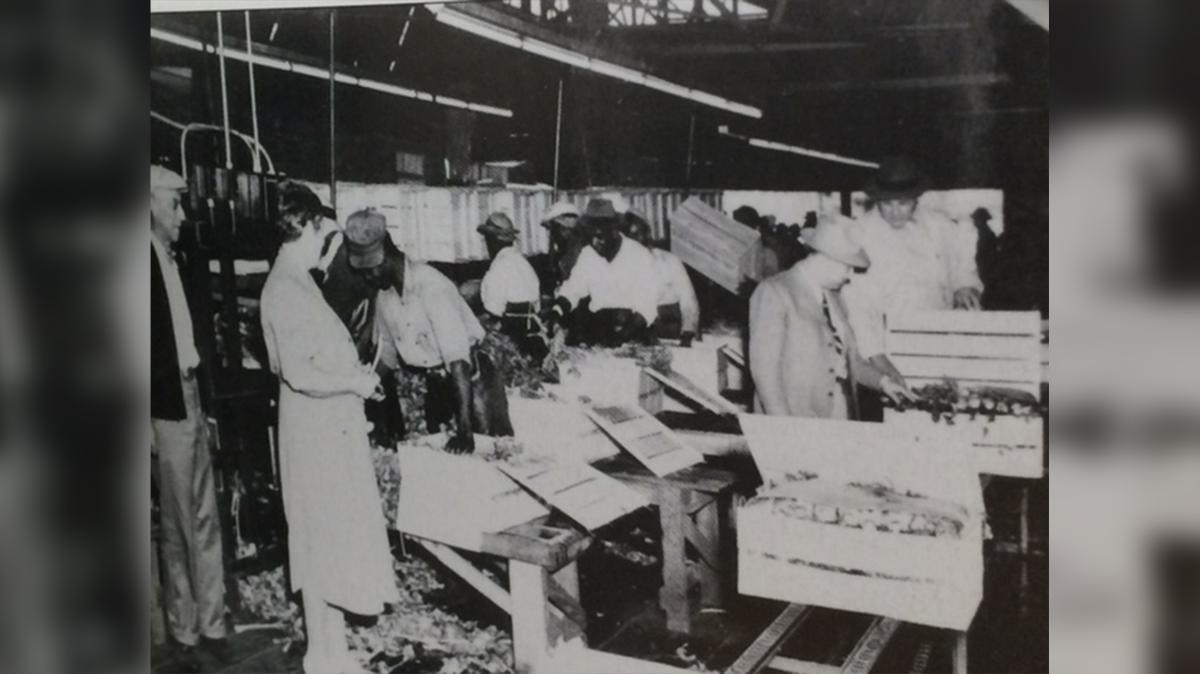 [Photo: NewtownAlive.org]