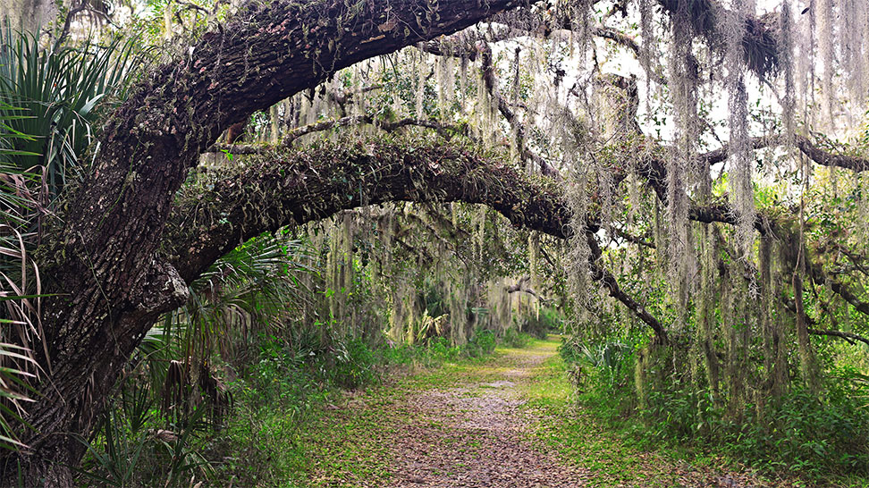 Myakka State Park