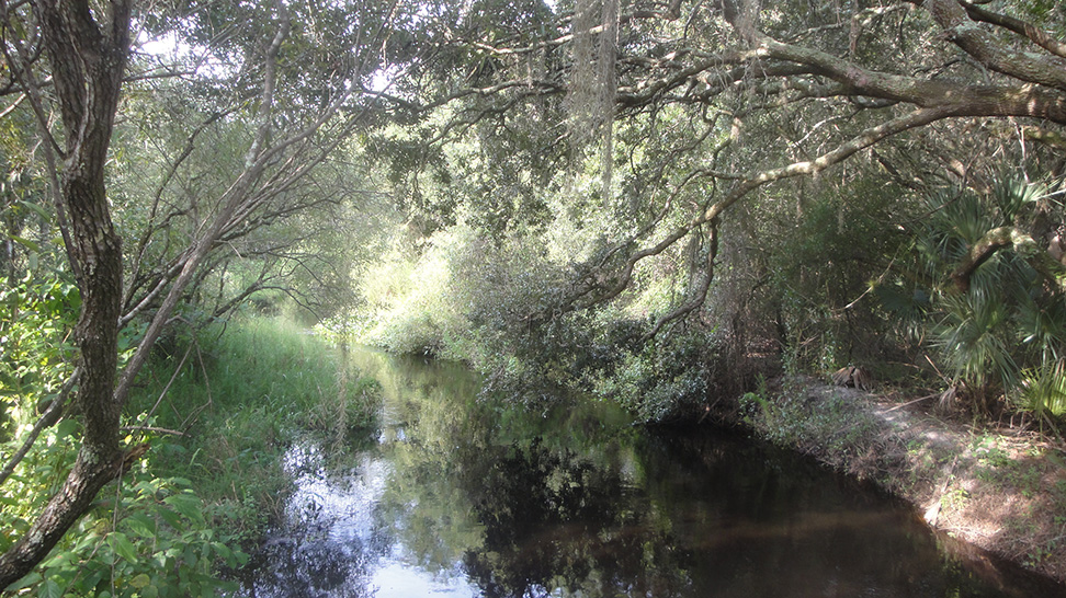 
Myakkahatchee Creek

