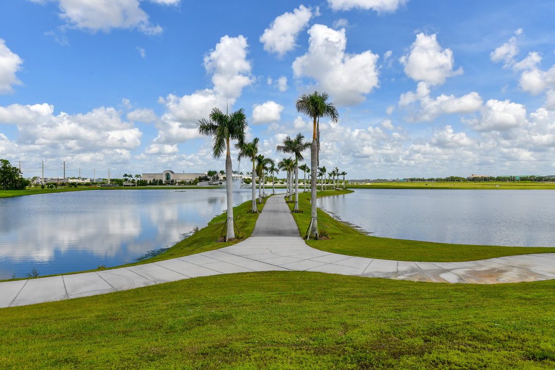 
Walkways to stroll, rollerblade or bike around Nathan Benderson Park's lake
