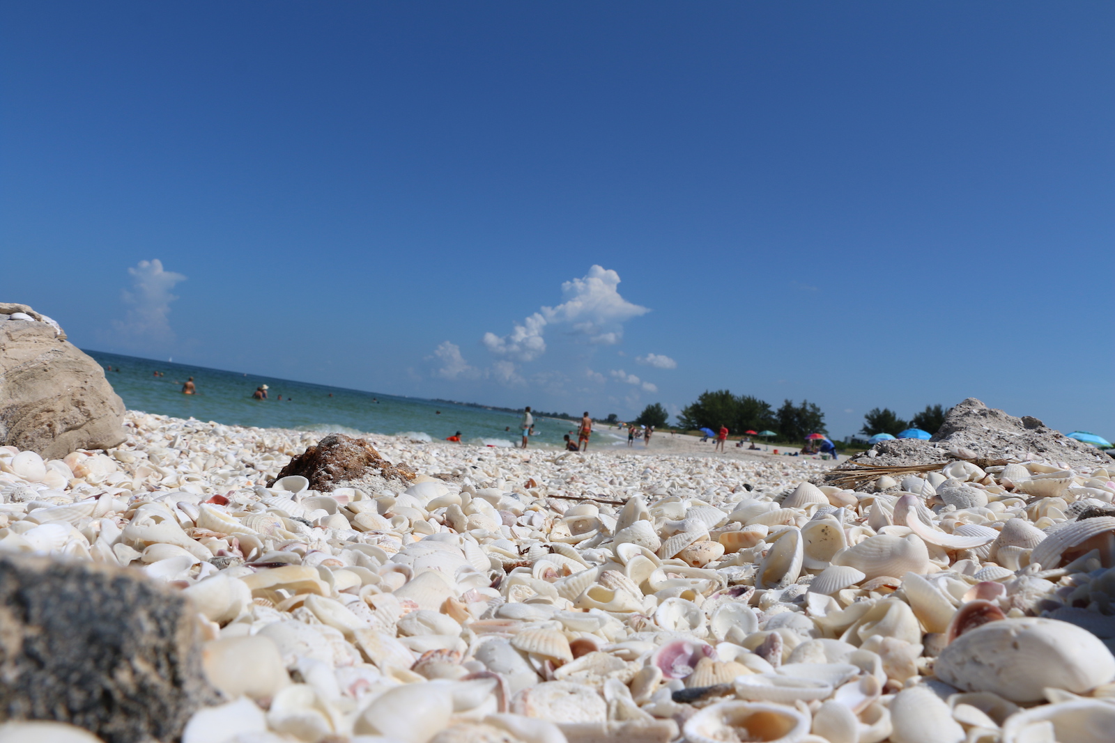 
Nokomis Beach
