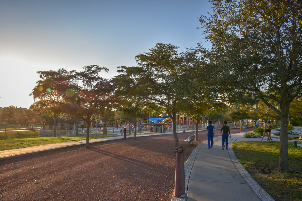 
Pedestrian paths at Payne Park leading to cafe, skatepark and playground
