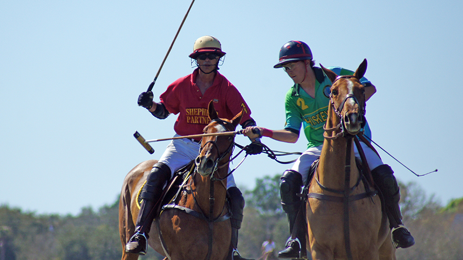 Sarasota Polo Club