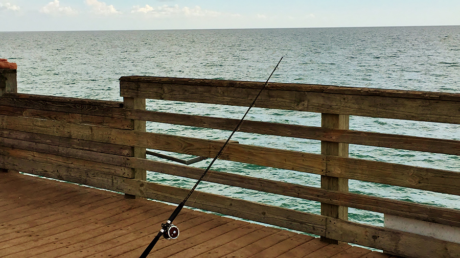 Venice Fishing Pier - Photo credit: Liz Sandburg