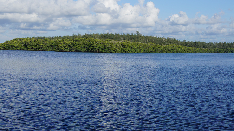 Jim Neville Marine Preserve