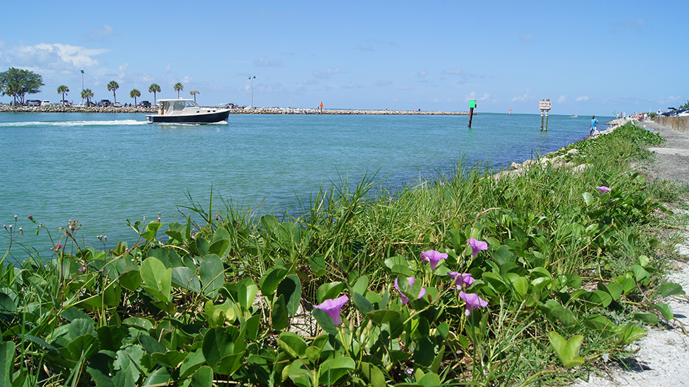 
Venice Jetties
