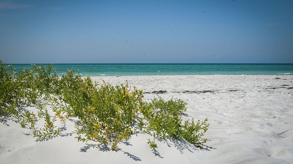 South Lido Beach