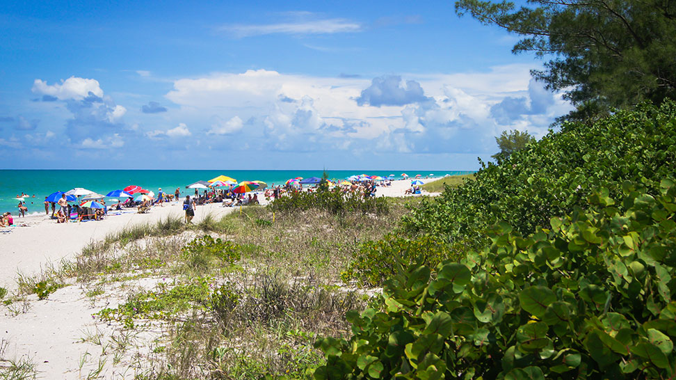 
Blind Pass Beach
