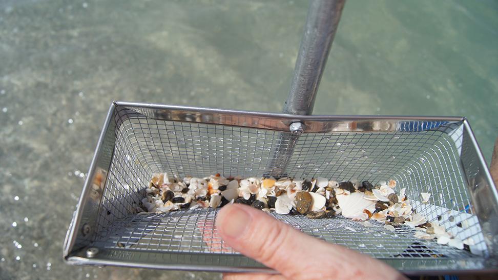 Sifting for shark teeth, Venice, Florida (Photo: Authentic Florida)