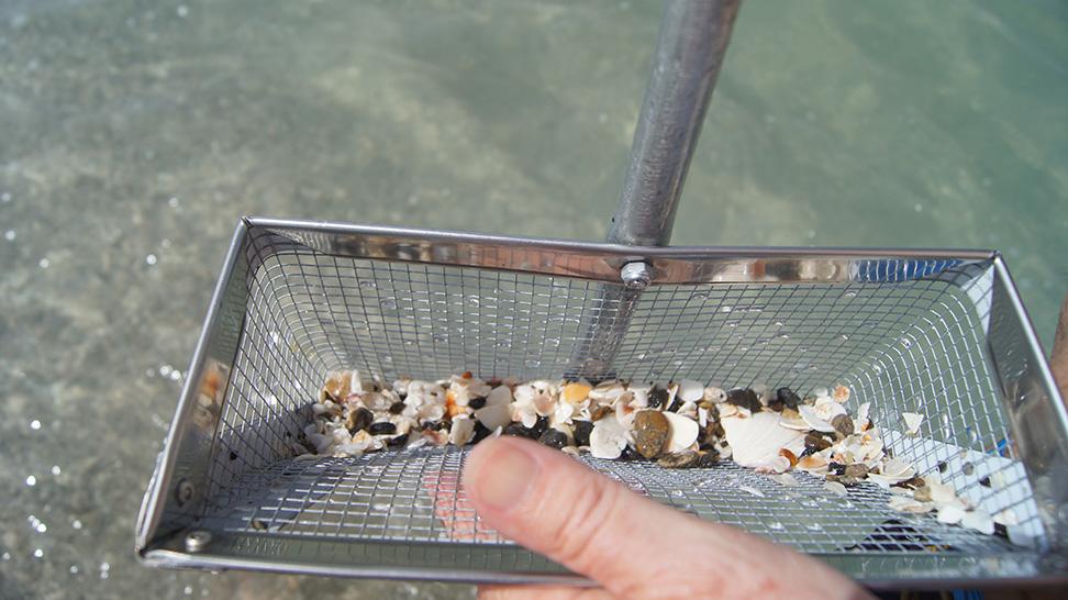 Sifting for shark teeth, Venice, Florida (Photo: Authentic Florida)