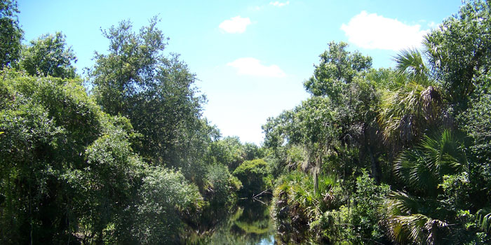 South Creek Trail