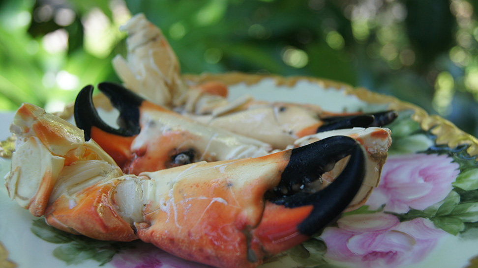 
Stone crab dish
