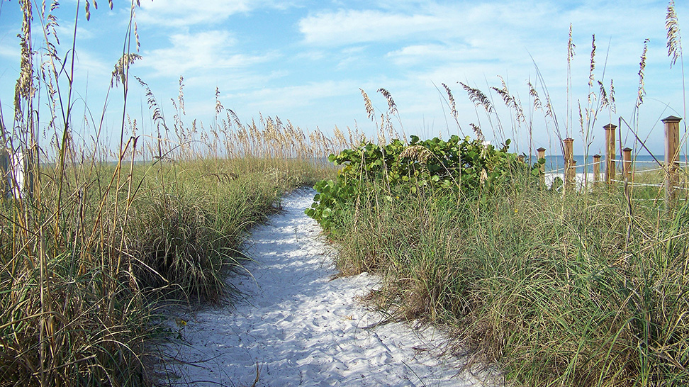 
Siesta Beach
