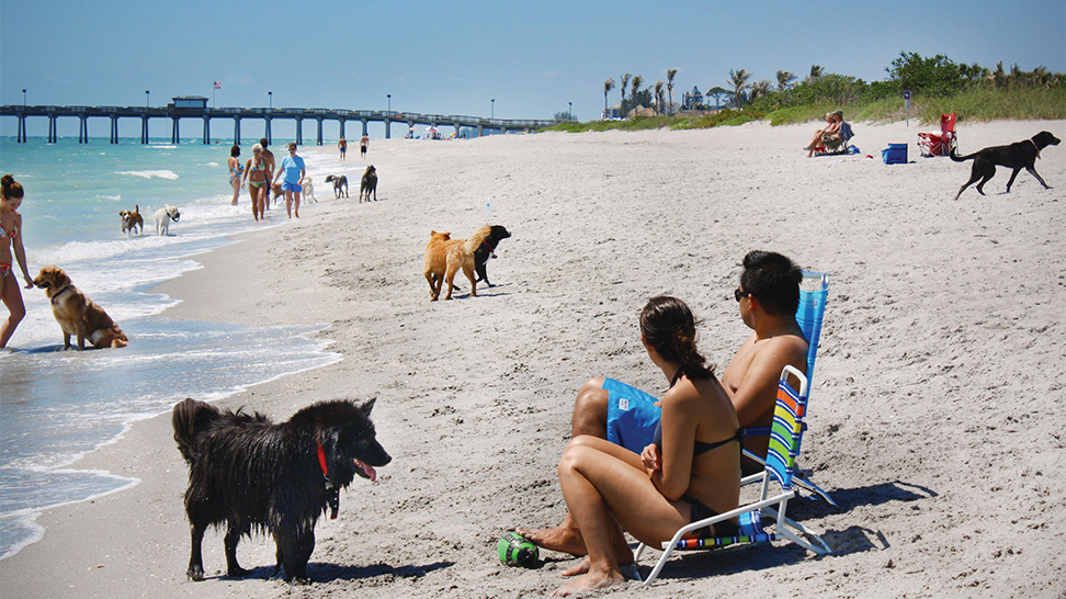 
Brohard Beach Dog Park
