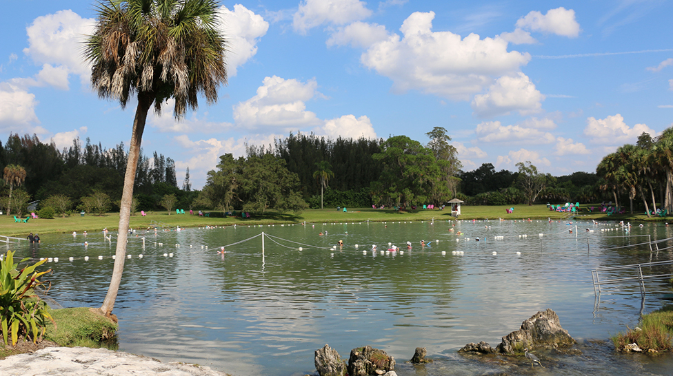 
Warm Mineral Springs
