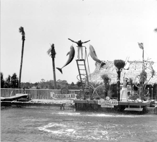 A porpoise show at Floridaland (Photo: State Library & Archives of Florida)