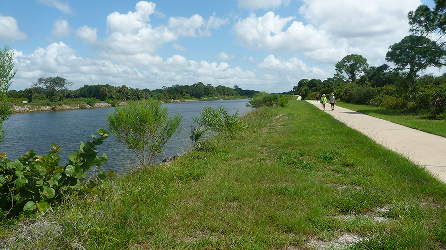 
Shamrock Park. Photo credit: Lucy Beebe Tobias
