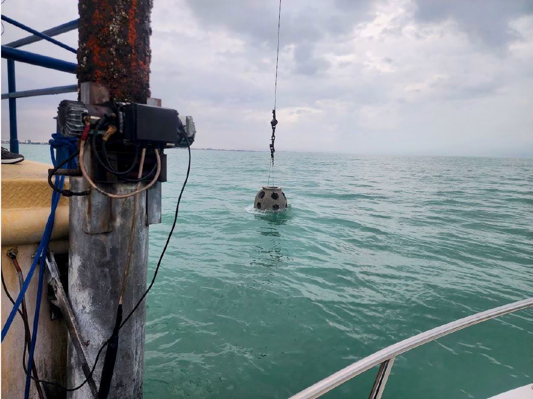 artificial reef in sarasota bay