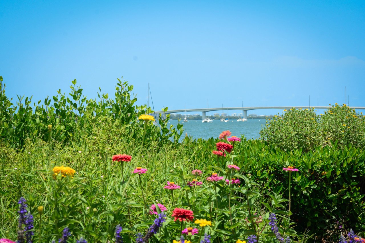 selby gardens bayfront
