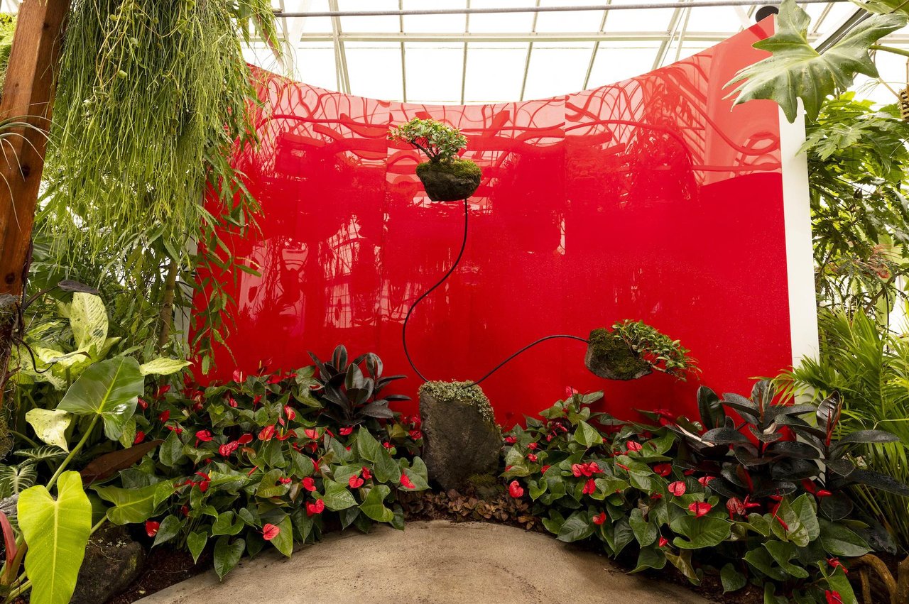 selby gardens exhibition