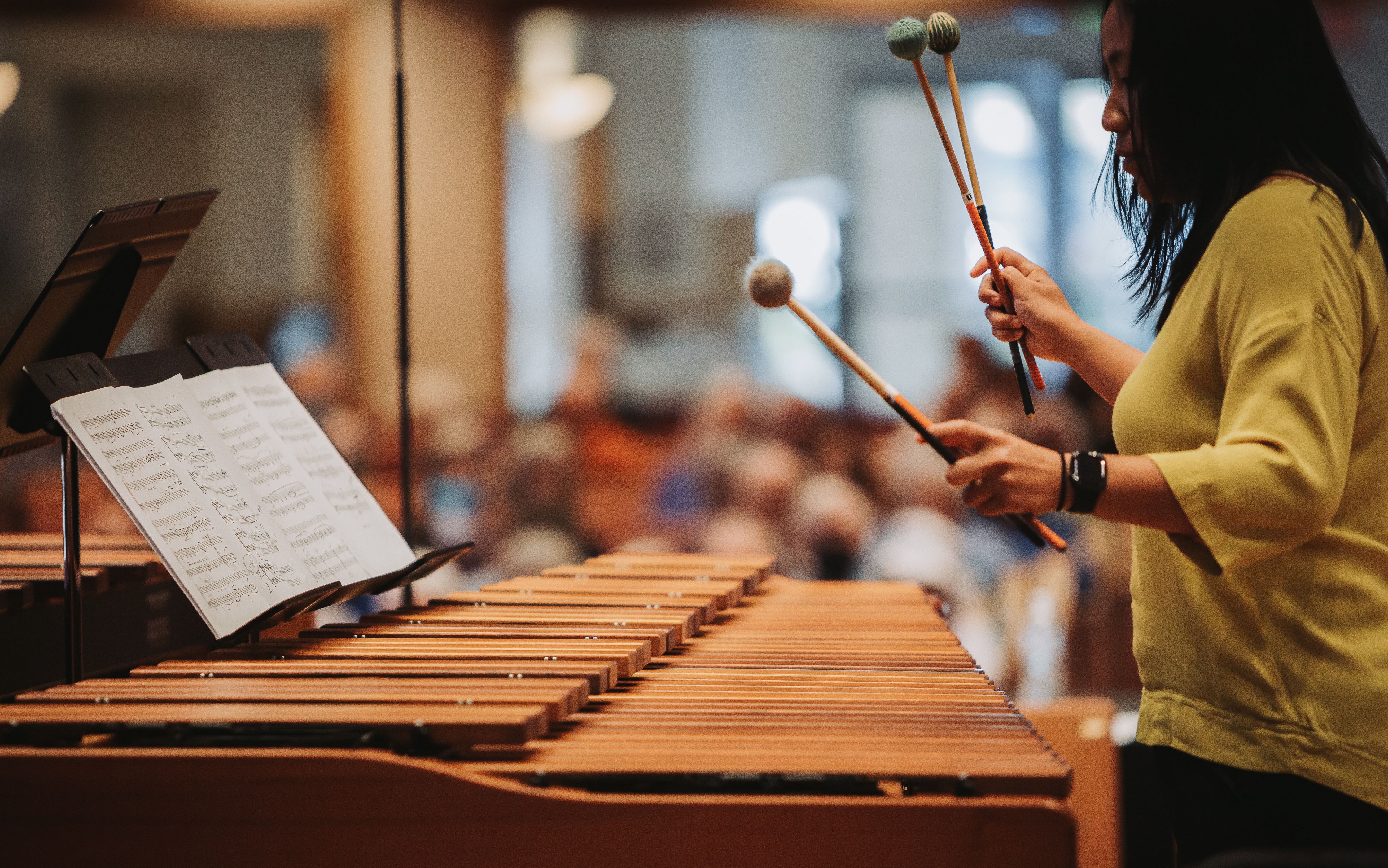 musician playing modern marimba in sarasota florida