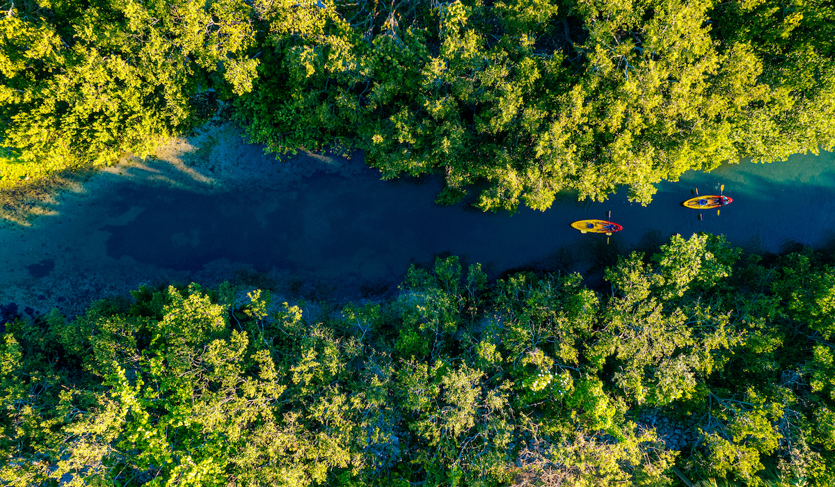 couples kayaking through the mangroves of sarasota