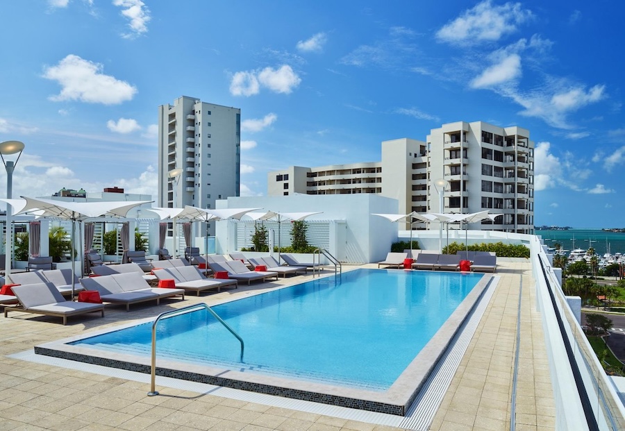 art ovation hotel's rooftop pool and lounge