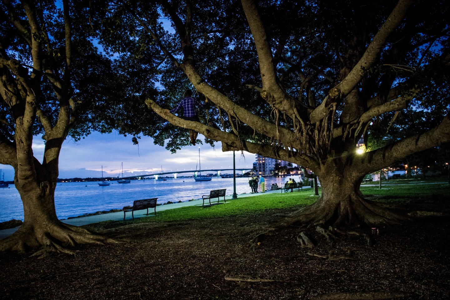 bayfront park