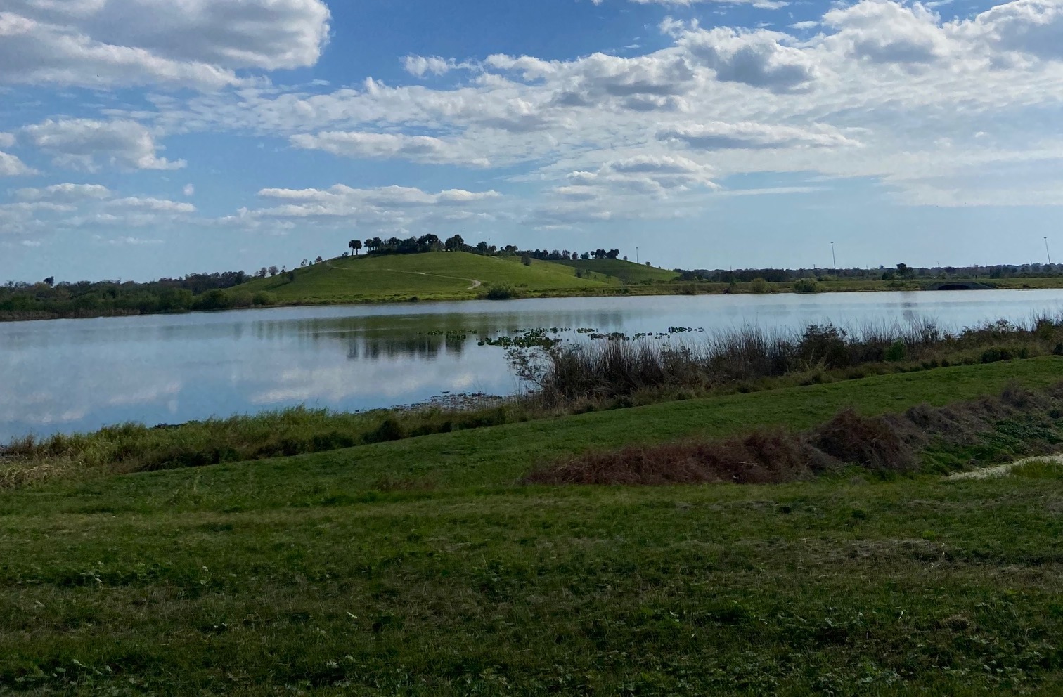 celery fields sarasota