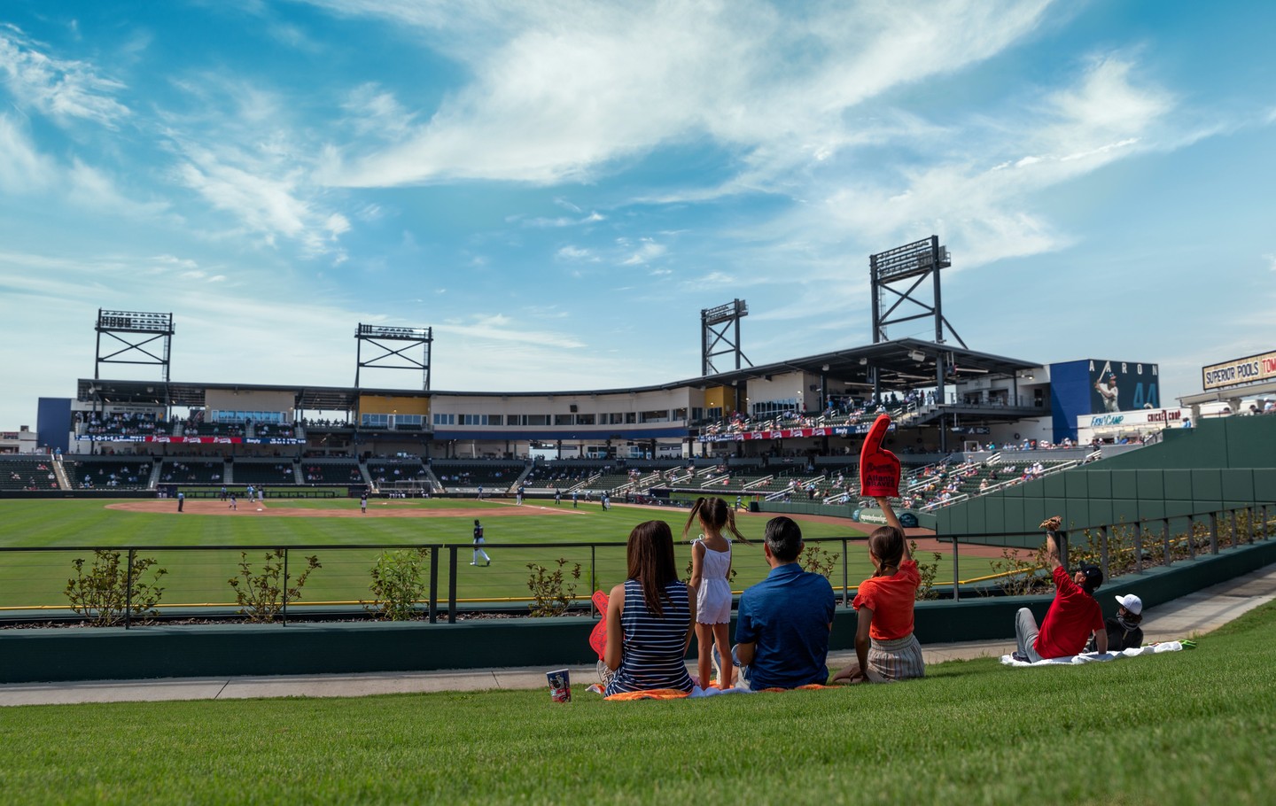 family at the atalnta braves baseball game