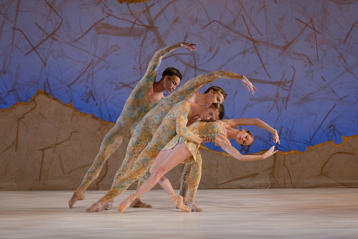 the sarasota ballet