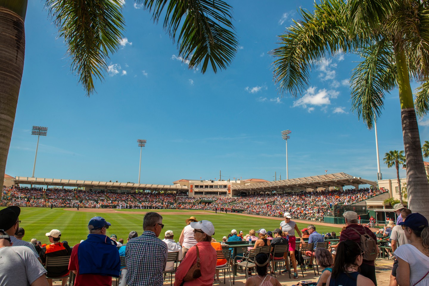 ed smith stadium spectators