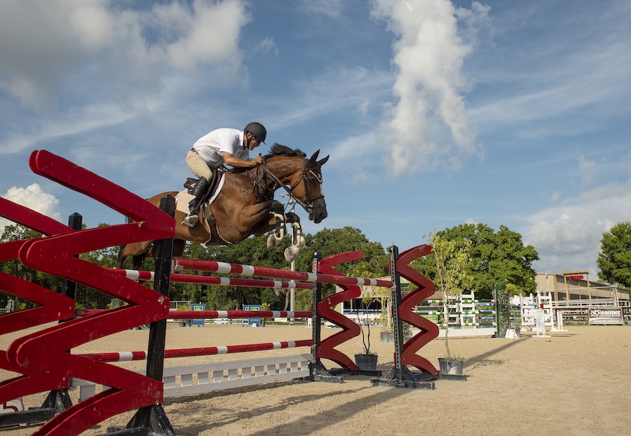 equestrian rider in venice florida