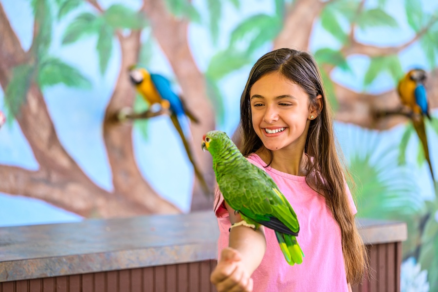 girl with parrot on her arm at sarasota jungle gardens